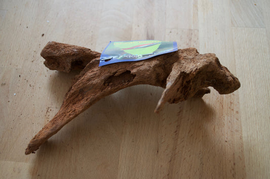 Drift Wood (verschiedene Größen) – Aquariendeko von garnelen-pott.live Essen – Ansicht 2