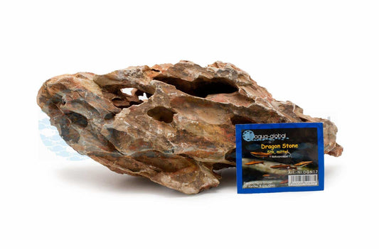Dragon Stone Struktur mit Höhlen und Rillen, Beispielstein – garnelen-pott.live Essen