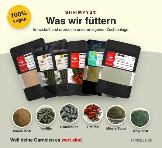 Garnelen richtig füttern – Wochenplan