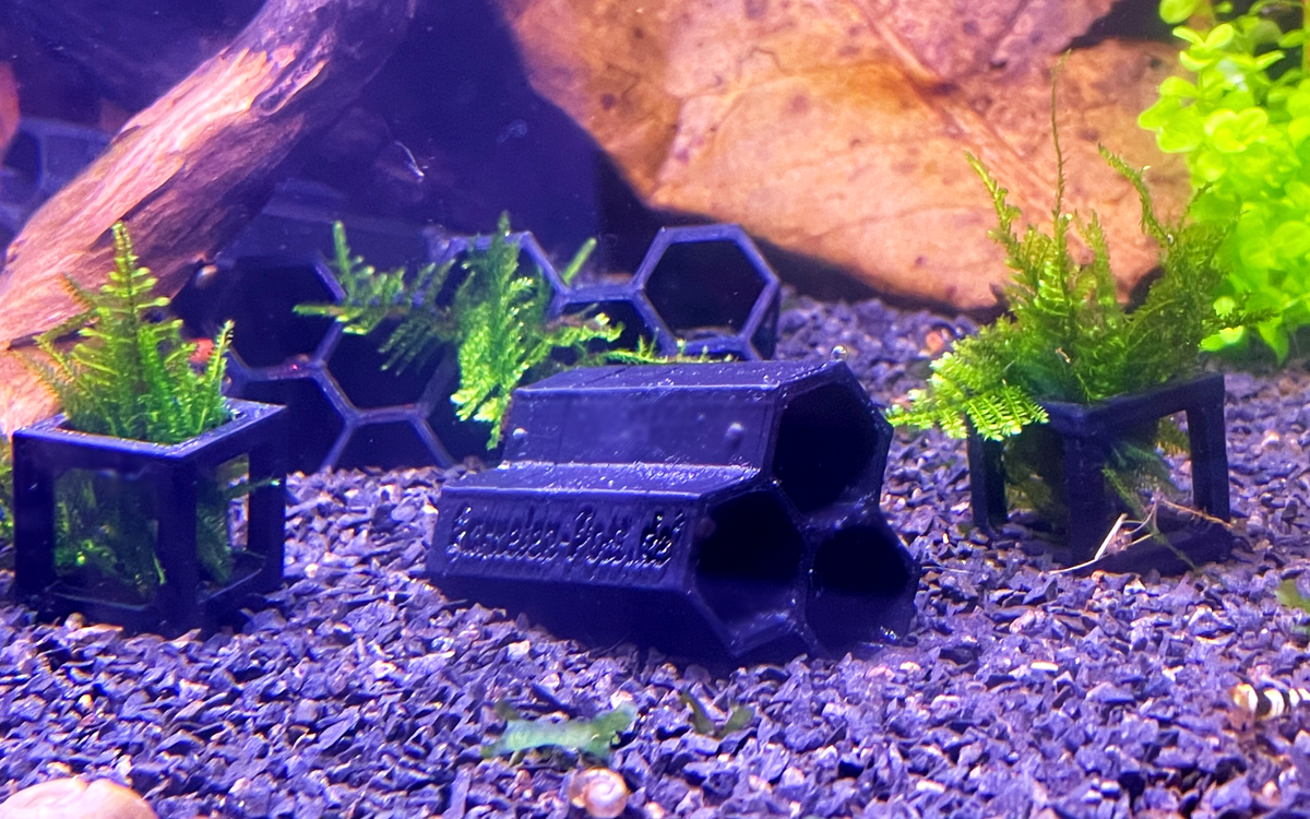 Waben-Höhle – Aquariendeko von garnelen-pott.live Essen