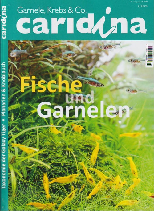 Titelseite der Fachzeitschrift caridina 2/2024 mit Bericht über garnelen-pott.live