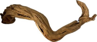 Curl Wood Mittel 40–60 cm – Aquariumwurzel fürs Scape – Aquariendeko von garnelen-pott.live Essen – Ansicht 4