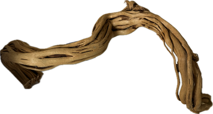 Curl Wood Mittel 40–60 cm – Aquariumwurzel fürs Scape – Aquariendeko von garnelen-pott.live Essen – Ansicht 3