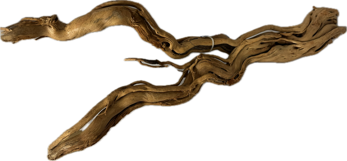 Curl Wood Mittel 40–60 cm – Aquariumwurzel fürs Scape – Aquariendeko von garnelen-pott.live Essen – Ansicht 2