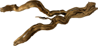 Curl Wood Mittel 40–60 cm – Aquariumwurzel fürs Scape – Aquariendeko von garnelen-pott.live Essen – Ansicht 2