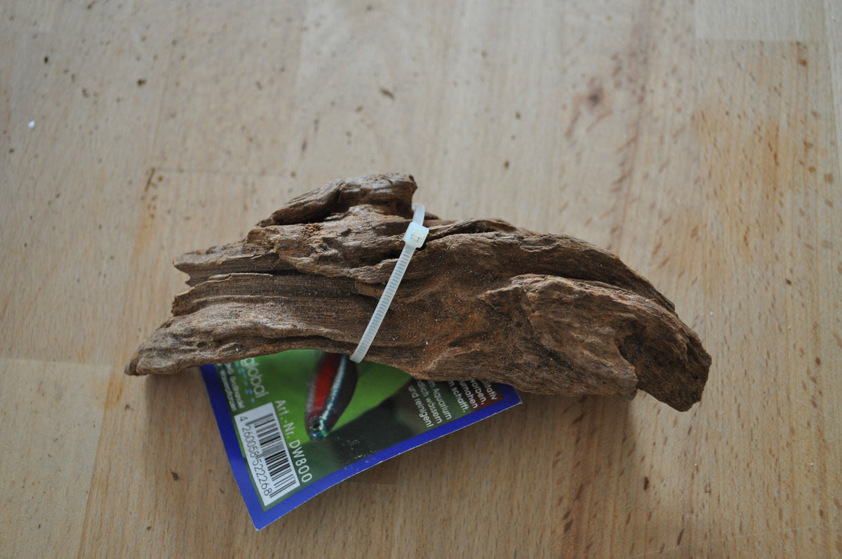 Drift Wood (verschiedene Größen) – Aquariendeko von garnelen-pott.live Essen – Ansicht 4