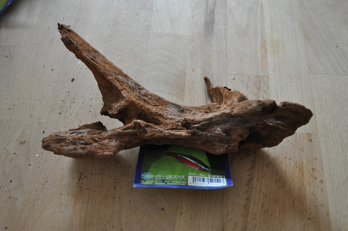 Drift Wood (verschiedene Größen) – Aquariendeko von garnelen-pott.live Essen – Ansicht 5