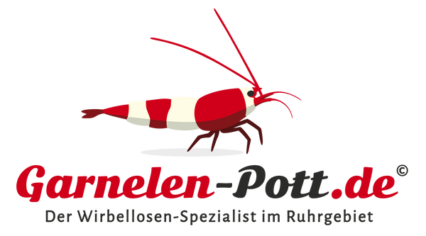 garnelen-pott.live
