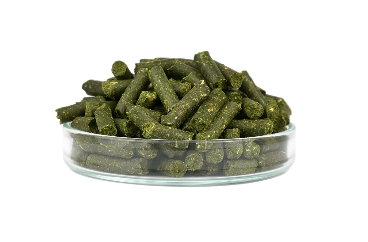 GARNELEN4YOU® Mineral Sticks – mineralstoffreiches Hauptfutter – Premium Garnelenfutter, 30g – Garnelenfutter von garnelen-pott.live Essen – Ansicht 6