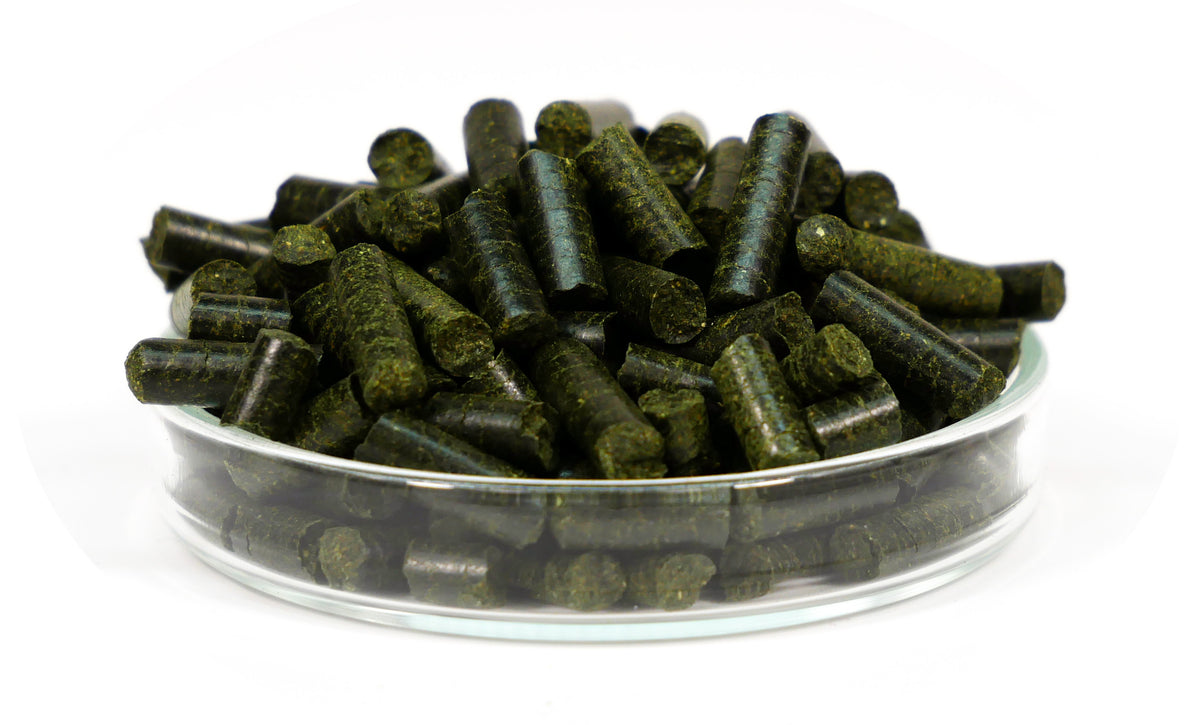 GARNELEN4YOU® Neo Algen Sticks, 30g – Garnelenfutter von garnelen-pott.live Essen – Ansicht 6