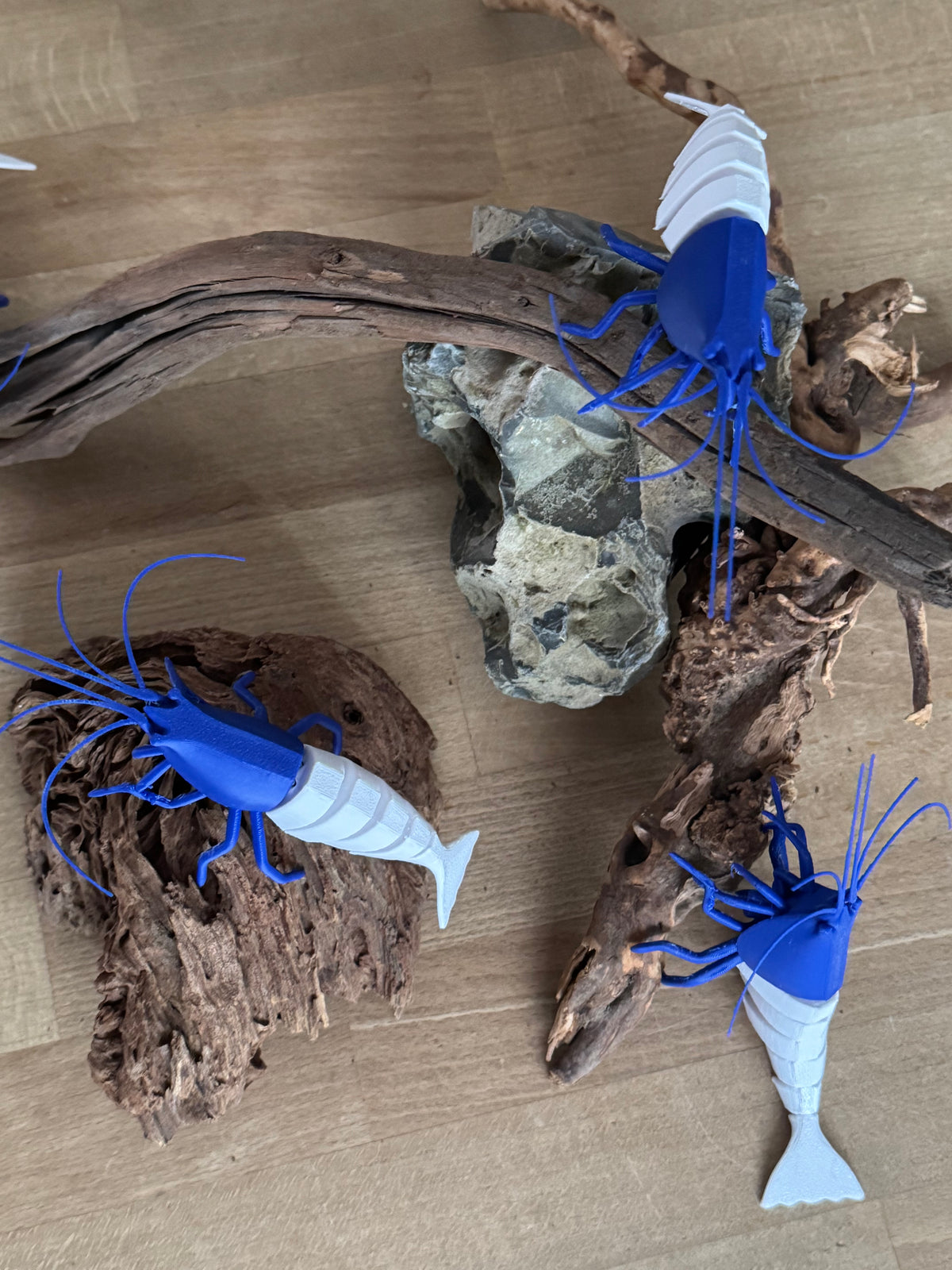 SHRIMPYS® – Die Garnelen Sammelfigur – garnelen-pott.live Essen – Ansicht 19