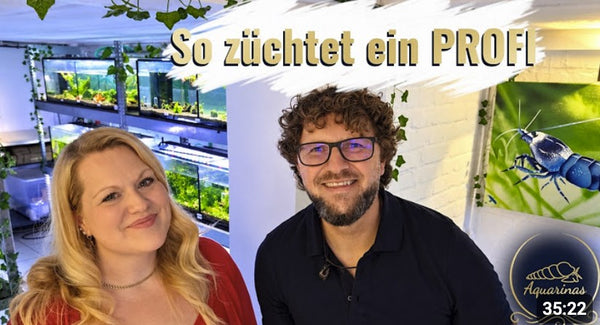 Marina von Aquarinas und Garnelenzüchter Lukas John in der Zuchtanlage von garnelen-pott.live in Essen