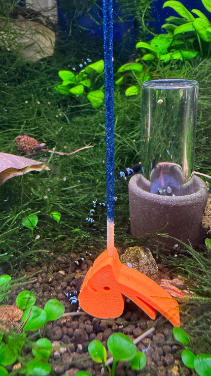 SHRIMPYS Lolli-Halter Orange mit blauem Mineral-Lolli im bepflanzten Aquarium – garnelen-pott.live Essen