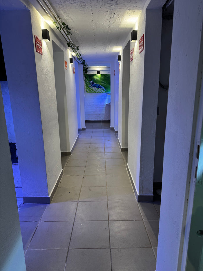 Aquarienregale der Zuchtanlage in Essen-Gerschede – garnelen-pott.live