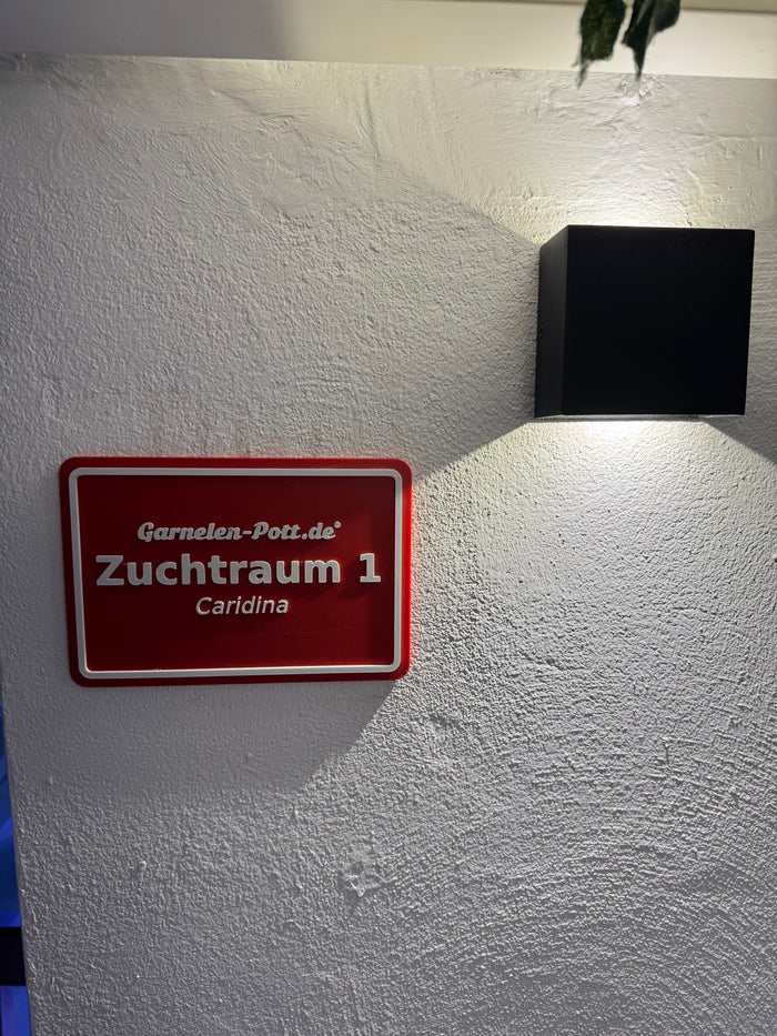 Zuchtraum für Caridina Garnelen in Essen – garnelen-pott.live